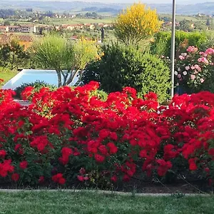 Le Macine Di San Salvadore Casa vacanze Malmantile