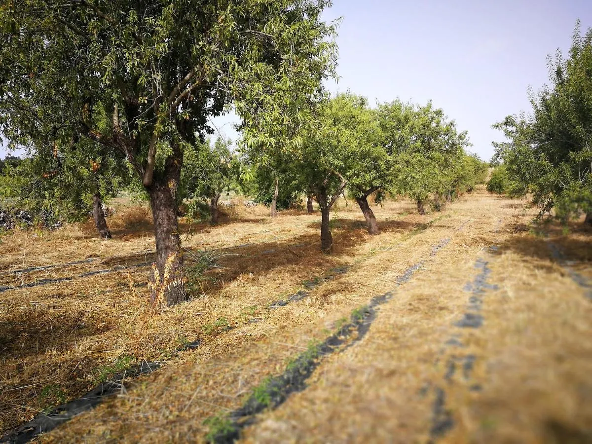 Case Marianeddi Noto Séjour à la ferme